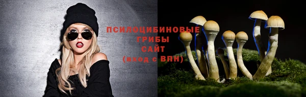 мет Сатка