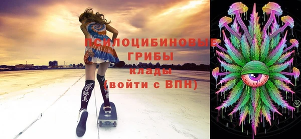 молекула духа Кемь