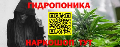 PSILOCYBIN Пенза