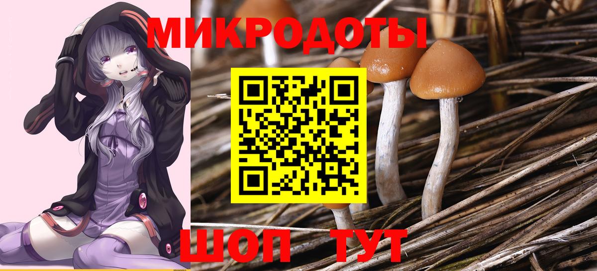 Галлюциногенные грибы Psilocybe  Вход с VPN  Псилоцибиновые грибы Magic Shrooms  Рузаевка 